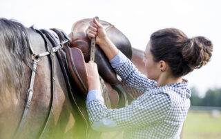 Girthiness in Horses