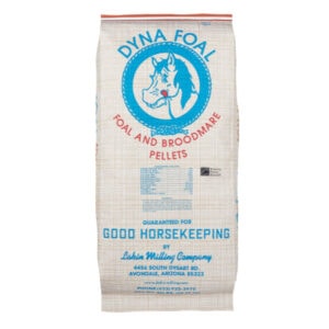 Dyna Foal (Lakin Milling Company)