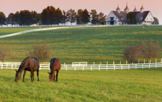 Biosecurity for Horse Farms