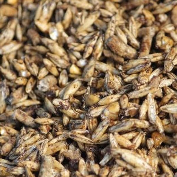 Low Molasses 12% (Brooks)