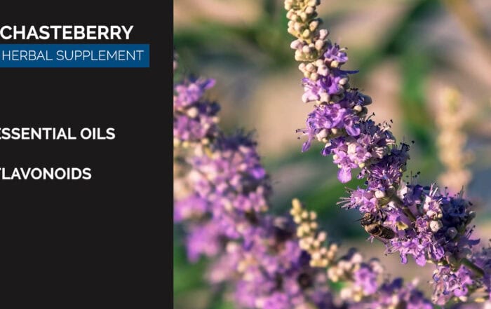 Chasteberry Herb for Horses – Benefits & Uses
