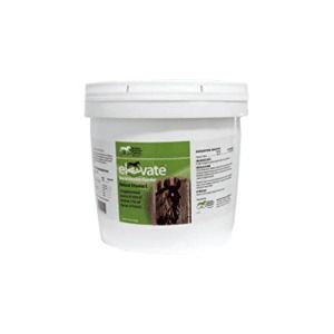 Elevate Maintenance Powder (Kentucky Performance Products)