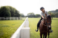 Equine Influenza Virus (Flu): Symptoms, Treatment & Prevention