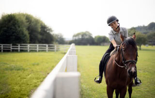 Equine Influenza Virus