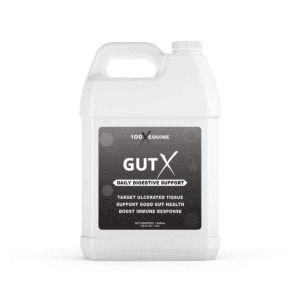 Gut X (100 X Equine)