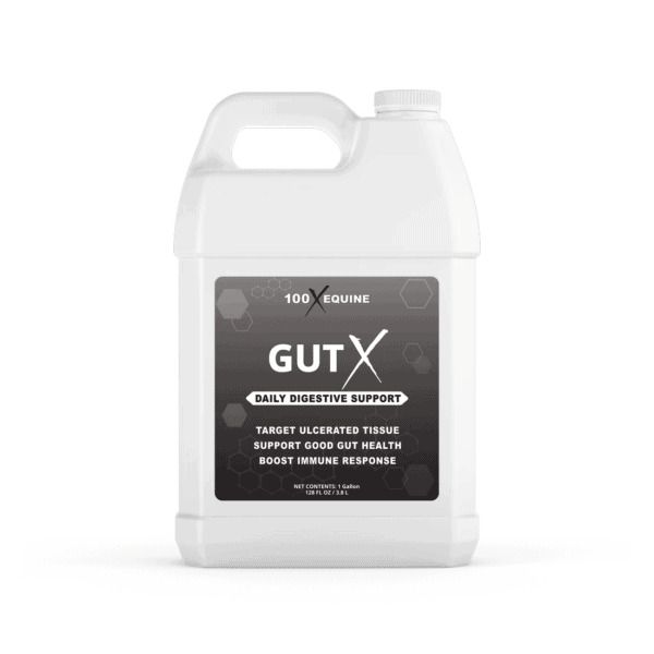 Gut X (100 X Equine)
