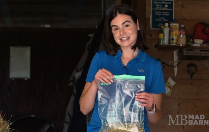 How to Take a Hay Sample for your Horse