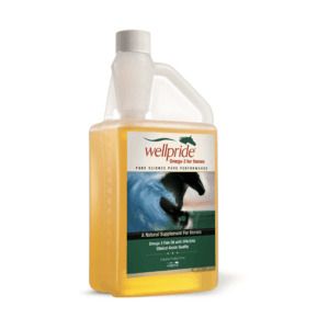 Omega 3 Fish Oil (Wellpride)