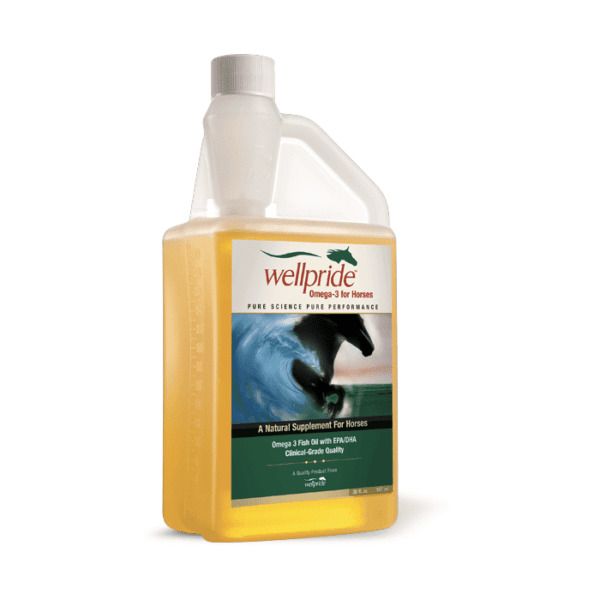 Omega 3 Fish Oil (Wellpride)