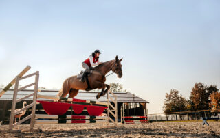 Ranitidine for Equine Gastric Ulcer Treatment