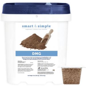 Smart & Simple DMG (SmartPak)