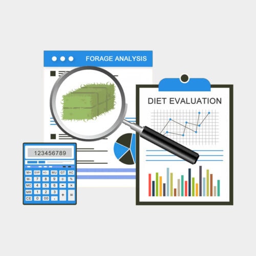 Order Forage Analysis for Horses - Mad Barn
