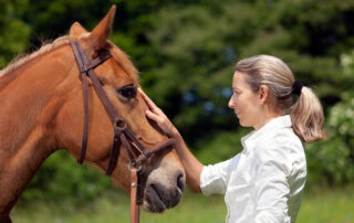 Chronic Kidney Disease in Horses
