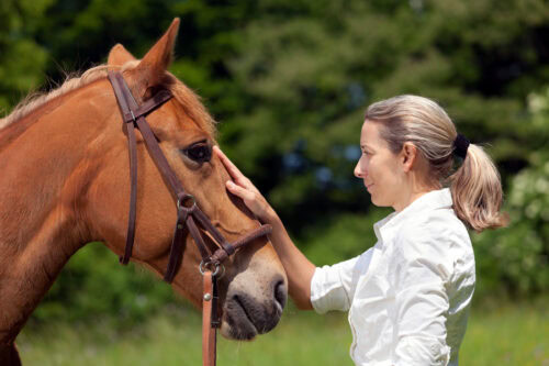 Chronic Kidney Disease in Horses
