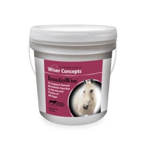 InsulinWise (Wiser Concepts)