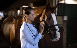 List of Antibiotics for Horses