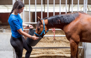 Equine Nutrition Feed & Supplement Database