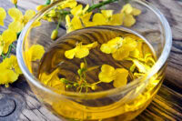 Feeding Canola Oil to Horses: Benefits for Weight Gain