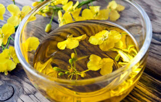 Canola Oil for Horses