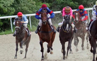 Lasix for Horses