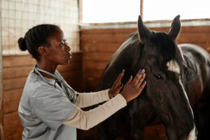 Pain Management in Horses: Signs, Treatments & Therapies