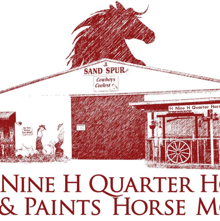 9 H Quarter Horse & Paints Horse Motel