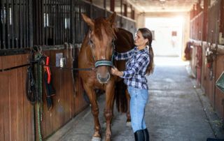 Basic Horse Care Guide