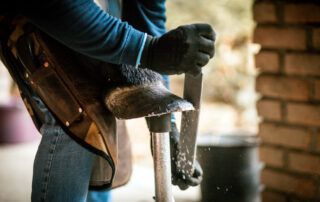 Farrier Care for Horses