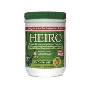 Heiro (Equine Medical and Surgical Associates)