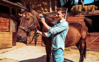 How to Identify Skin Diseases in Horses