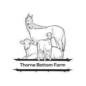 K.I.S. Trace Pellet Original (Thorne Bottom Farm)