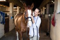 Sarcoids in Horses: Types, Causes, Prevention & Treatment