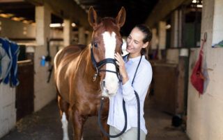 Sarcoids in Horses