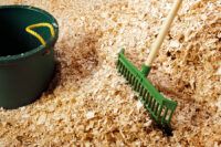 Best Bedding for Horses: Guide to Different Types of Materials