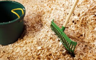Best Types of Bedding for Horses
