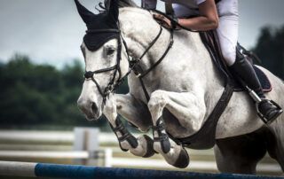 Bone Strength in Horses