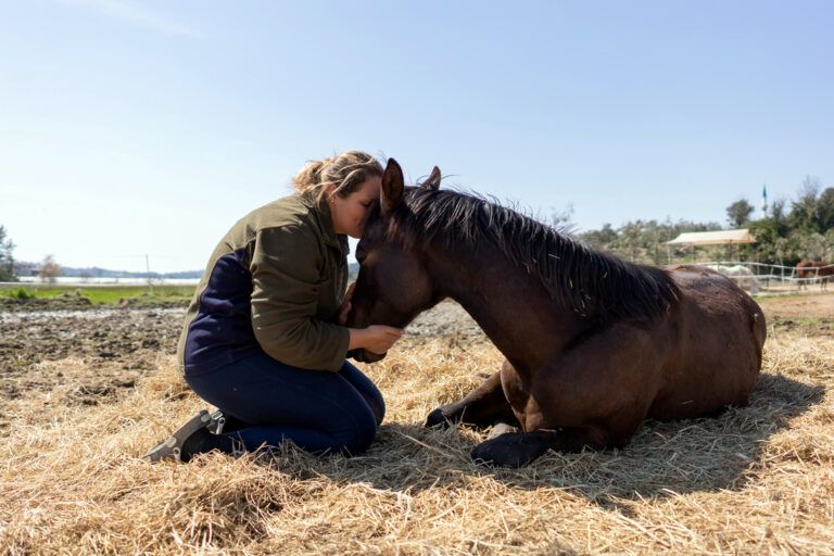 Horse Euthanasia and Carcass Disposal