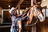 How to Groom a Horse: Step-By-Step Guide