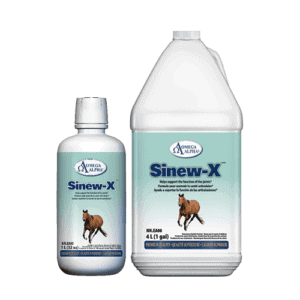 Sinew – X (Omega Alpha)