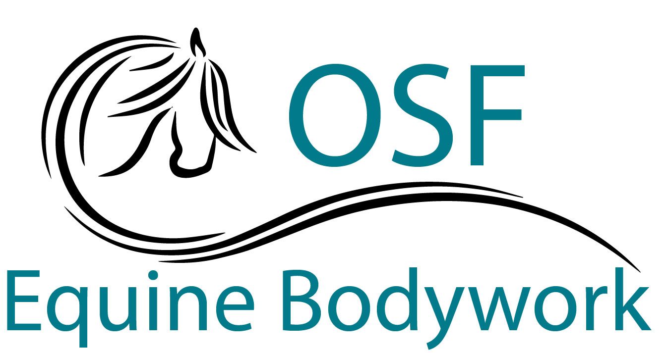 Courtney Sustaire - Equine Bodywork