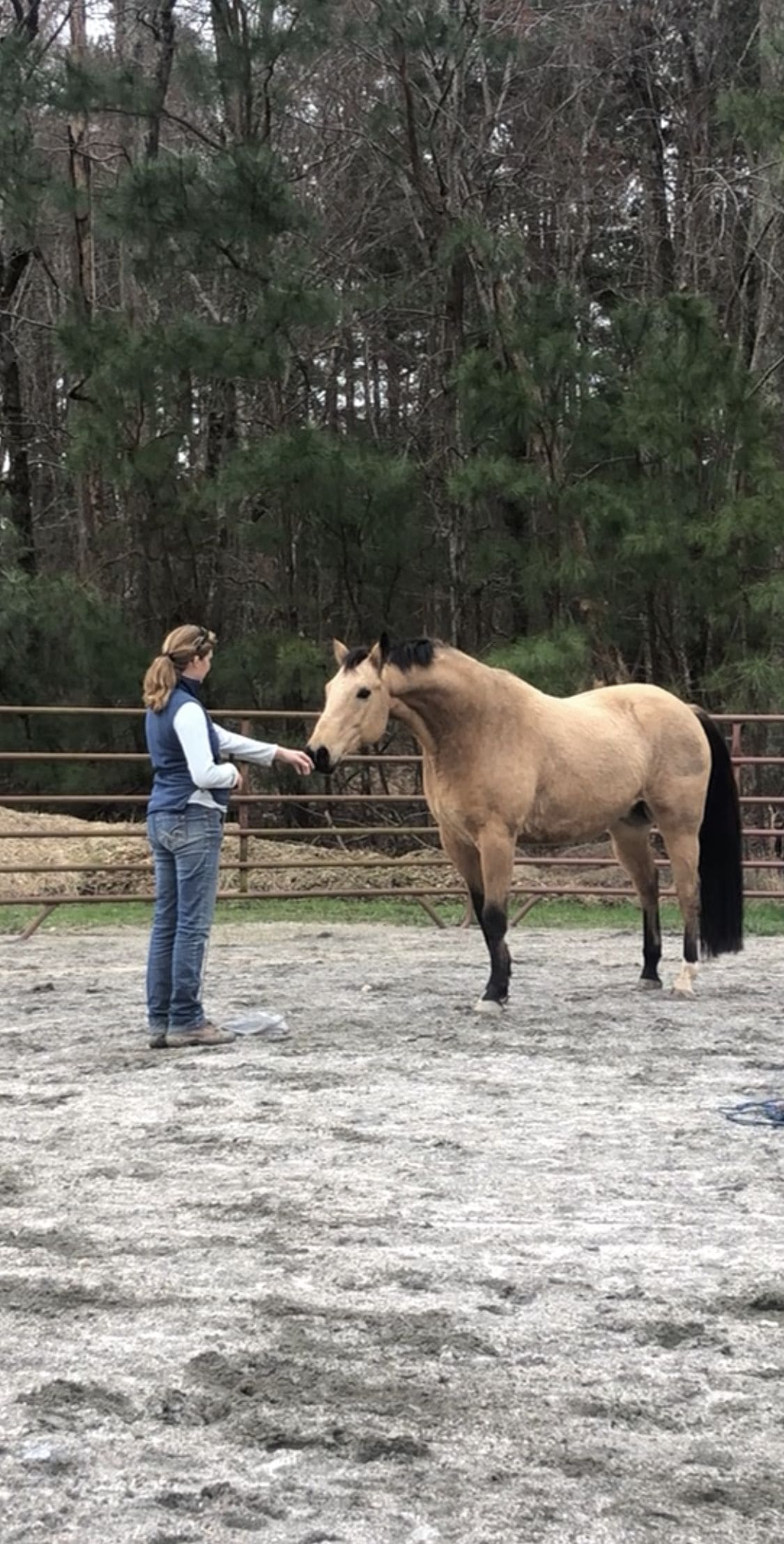 Mallory Morée - Coaches & Trainers