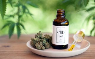 CBD Oil for Horses