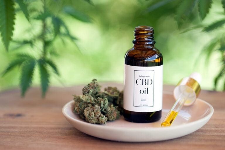 CBD Oil for Horses