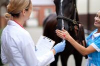 Coggins Test for Horses – Detecting Equine Infectious Anemia