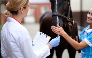 Coggins Test for Horses