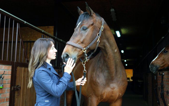 Emergency & Disaster Preparedness for Horses