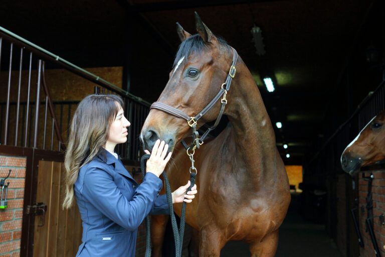 Emergency & Disaster Preparedness for Horses
