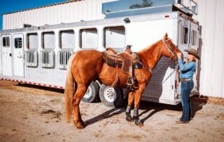 Long Haul Trailering a Horse
