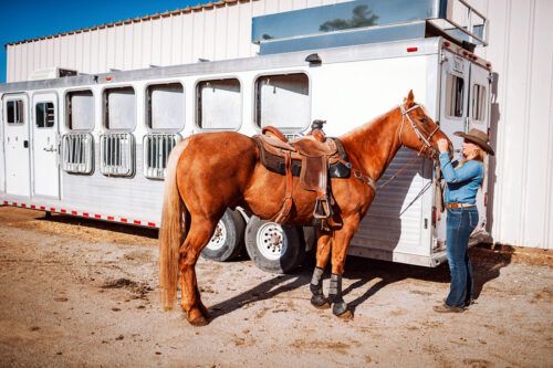 Long Haul Trailering a Horse