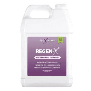 Regen-X (100 X Equine)